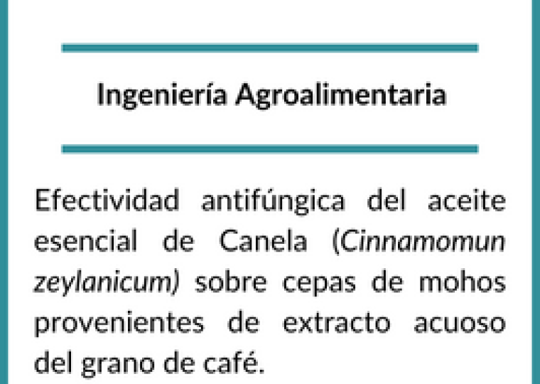 Becarios 2020 (2)