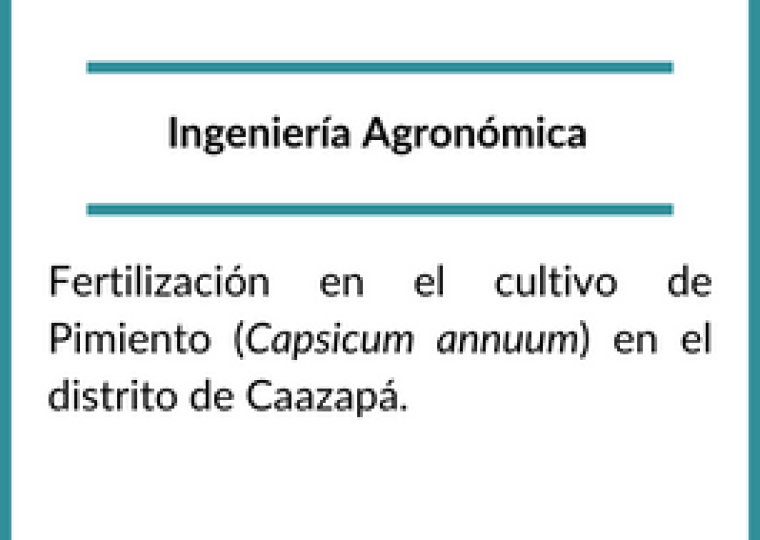 Becarios 2021 (7)