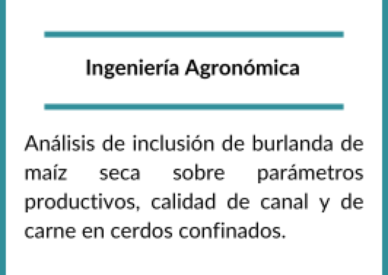 Becarios 2021 (8)