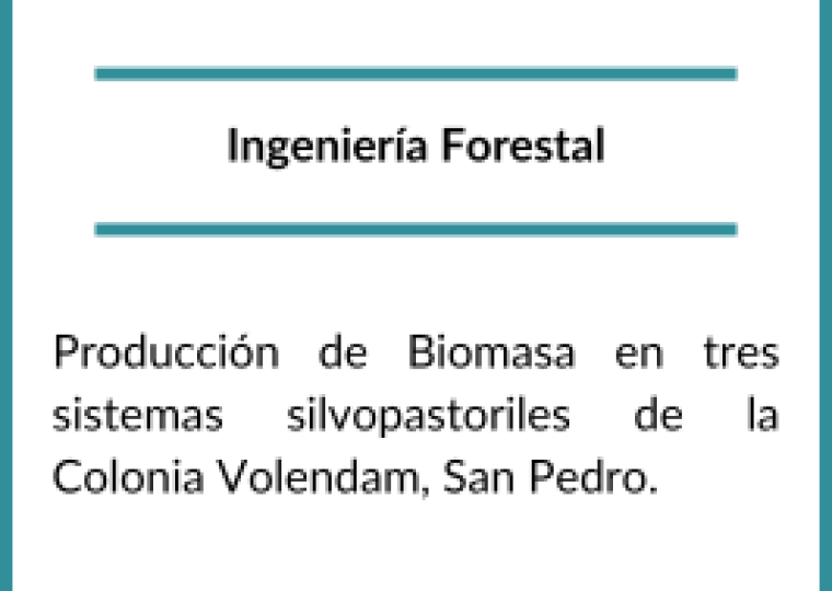 Becarios 2022 (2)