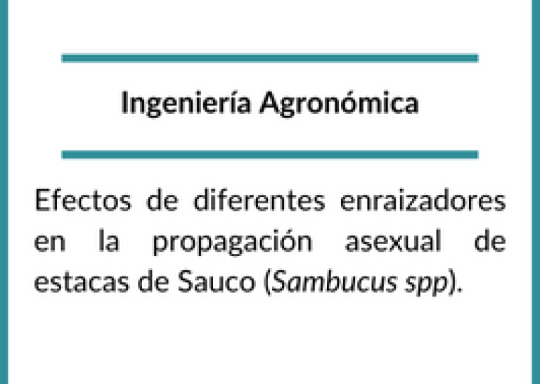 Becarios 2022 (5)