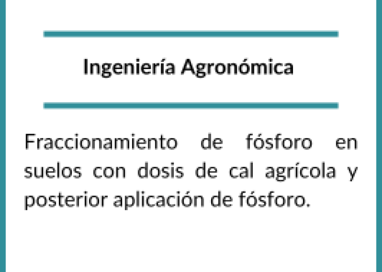 Becarios 2023