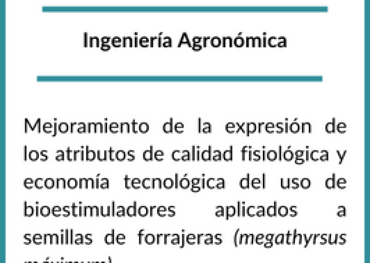 Copia de Becarios 2022 (1)