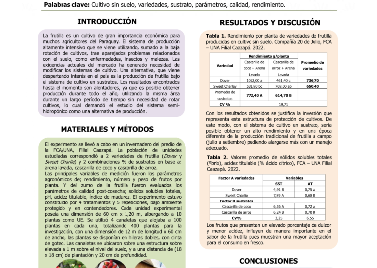 Diseño sin título