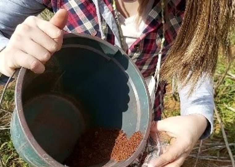 Extracción de muestras de suelo post cosecha del cultivo de sésamo a una profundidad de 10 cm.