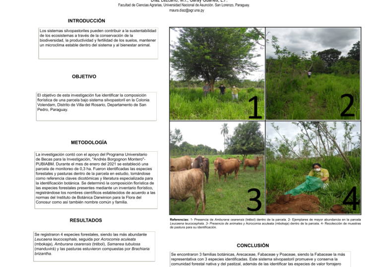 Estudiante: Fernando Garay. Orientadora: Dra. Maura Diaz. Carrera: Ing. Forestal. En: IV Jornadas Paraguayas de Botánica.