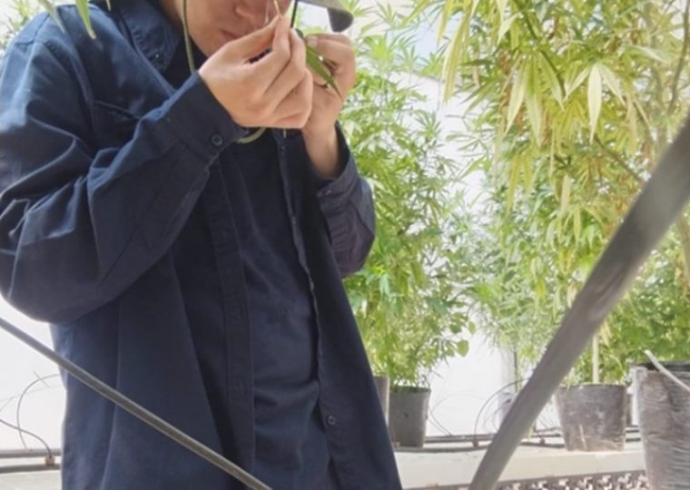 Portada Guada [Autoguardado]