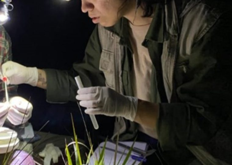 Portada Sara Escobar