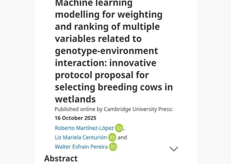 Proforma tamaño portada web