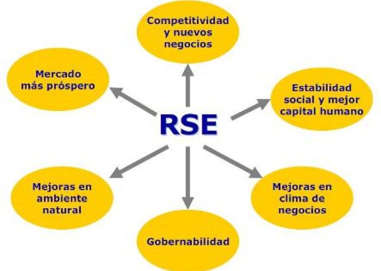 manual rse incae